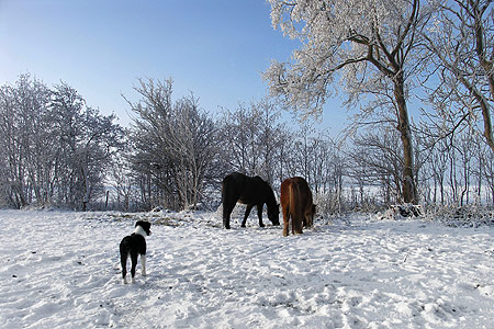Foto aus der Fotogruppe 
