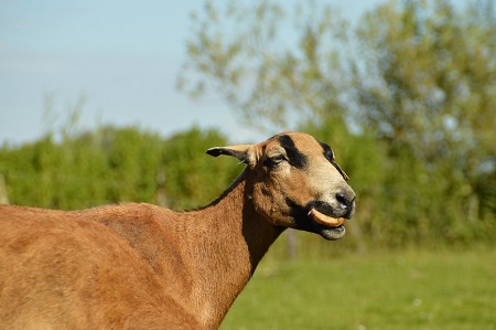 Foto aus der Fotogruppe 
