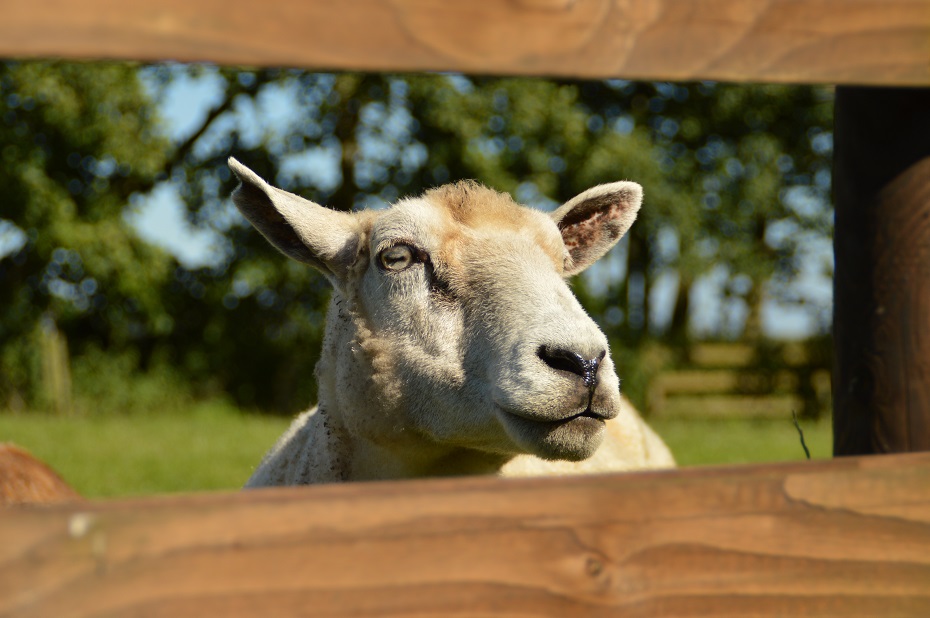 Foto aus der Fotogruppe 