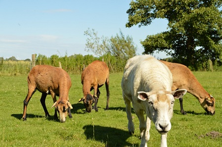 Foto aus der Fotogruppe 