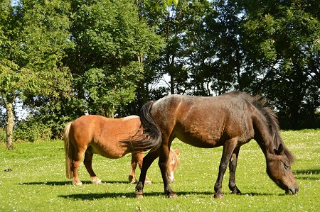 Foto aus der Fotogruppe 