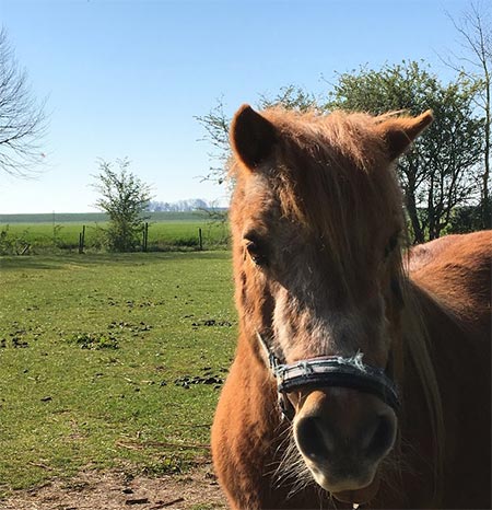 Foto aus der Fotogruppe 