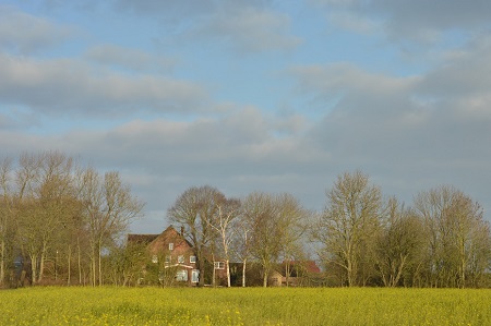 Foto aus der Fotogruppe 